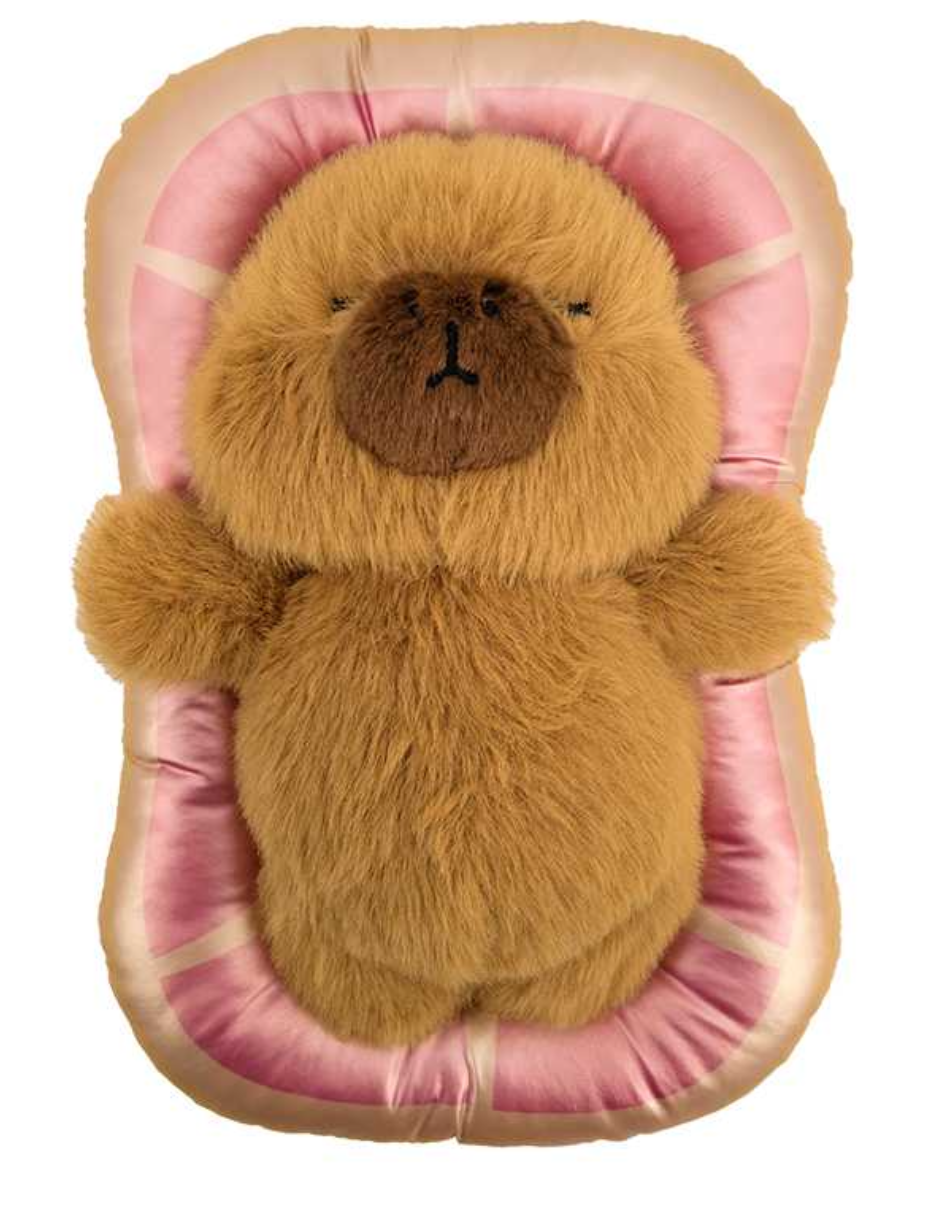 The Sleeping capibara